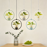 Lámpara Colgante con Plantas LED Circular de Diseño Moderno para Comedor