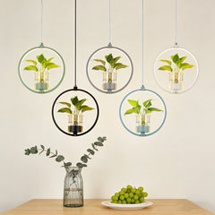 Lámpara Colgante con Plantas LED Circular de Diseño Moderno para Comedor