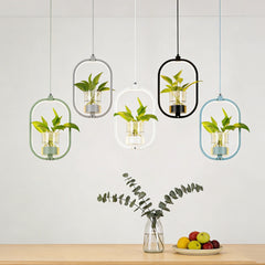 Lámpara Colgante con Plantas LED Moderna Ovalada para Comedor