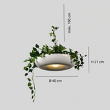 Lámpara con plantas colgantes LED de diseño moderno para comedor