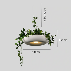 Lámpara con plantas colgantes LED de diseño moderno para comedor