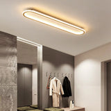 Lámpara de techo LED moderna y ovalada para pasillos con luz suave