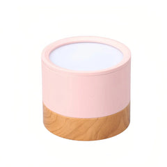 Downlight de superficie LED nórdico de metal para pasillo