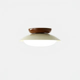 Lámpara de techo moderna para pasillos LED luz suave Morandi Ø25 cm
