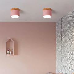 Downlight de superficie LED nórdico de metal para pasillo