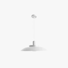 Lampara colgante exterior negra mate para terraza y jardín