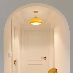 Lámpara de Techo LED Vintage con Forma de Caqui para Recibidor