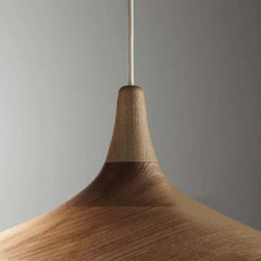 Lamparas colgantes para mesa comedor diseño creativo forma de avellana