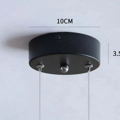 Luces colgantes negras LED de vidrio esférico moderno