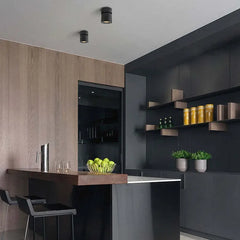 Foco orientable de techo LED moderno de metal para salón