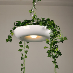 Lámpara con plantas colgantes LED de diseño moderno para comedor