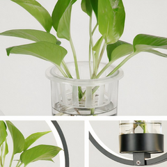 Lámpara Colgante con Plantas LED Circular de Diseño Moderno para Comedor
