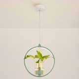 Lámpara Colgante con Plantas LED Circular de Diseño Moderno para Comedor