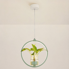 Lámpara Colgante con Plantas LED Circular de Diseño Moderno para Comedor