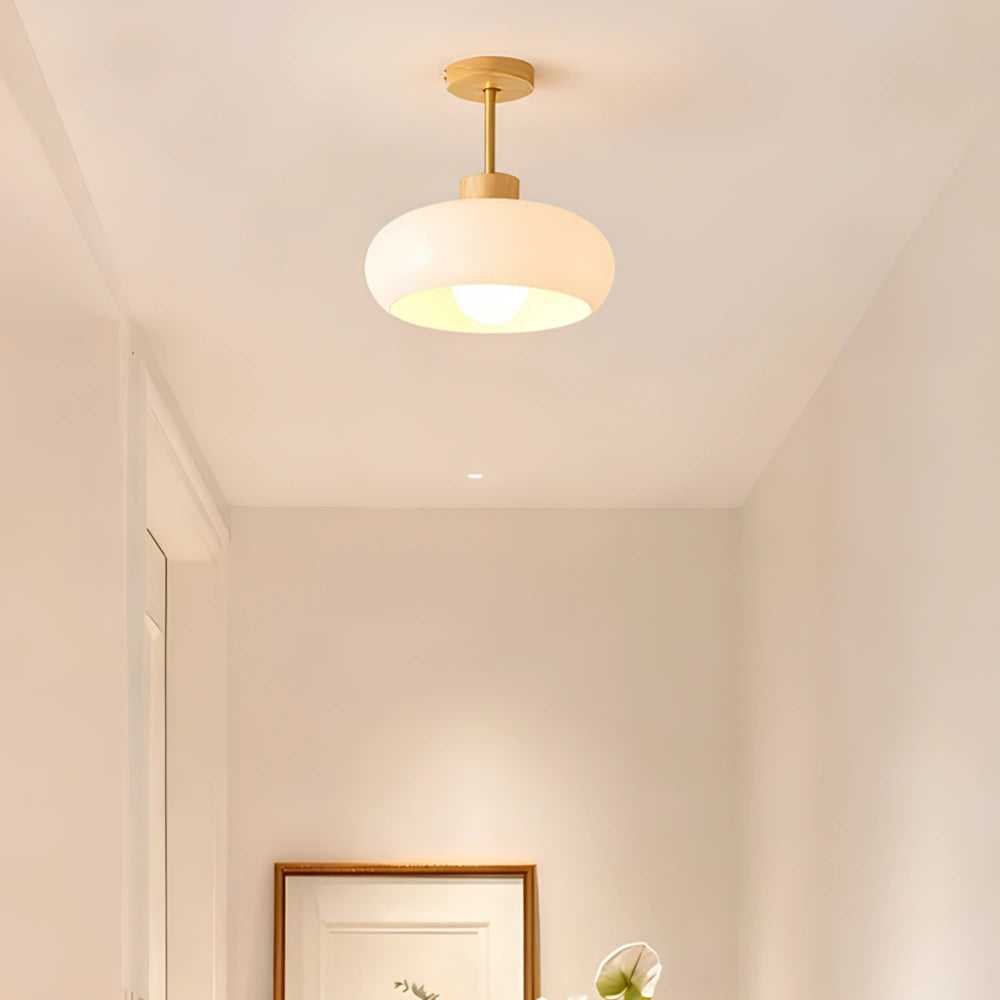 Lámpara de Techo LED Vintage con Forma de Caqui para Recibidor