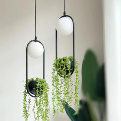 Lámpara LED con Plantas Colgantes de Diseño Nórdico Ovalada Negra para Comedor