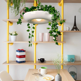 Lámpara con plantas colgantes LED de diseño moderno para comedor