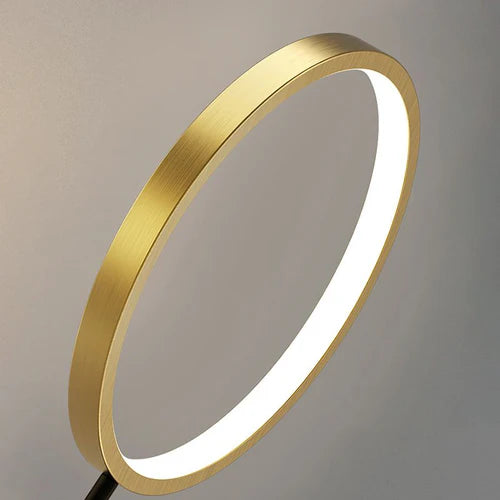 Double Rod Twisted Circular Minimalist Floor Lamp