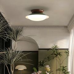 Lampara de techo para pasillo moderna con LED regulable y luz suave