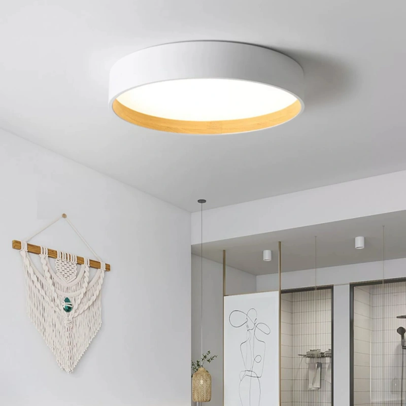 Lámpara de Techo LED Regulable de Estilo Moderno Redonda para Dormitorio