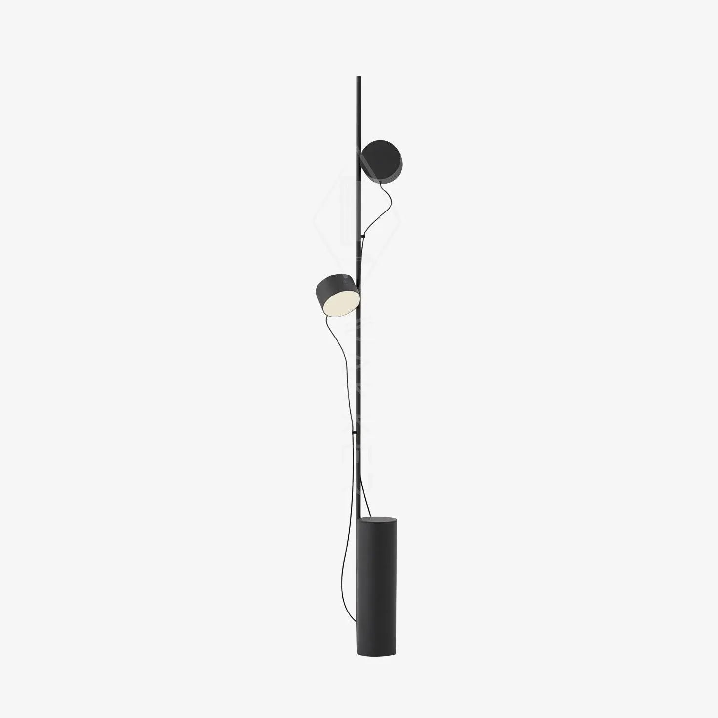 Dual-Head Adjustable Direction Black Plug-In Floor Lamp