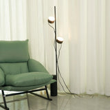 Dual-Head Adjustable Direction Black Plug-In Floor Lamp