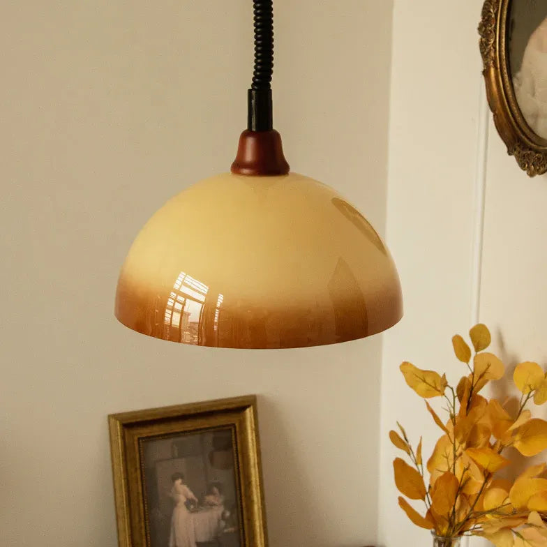 Brown Vintage Half-Sphere Living Room Pendant Light