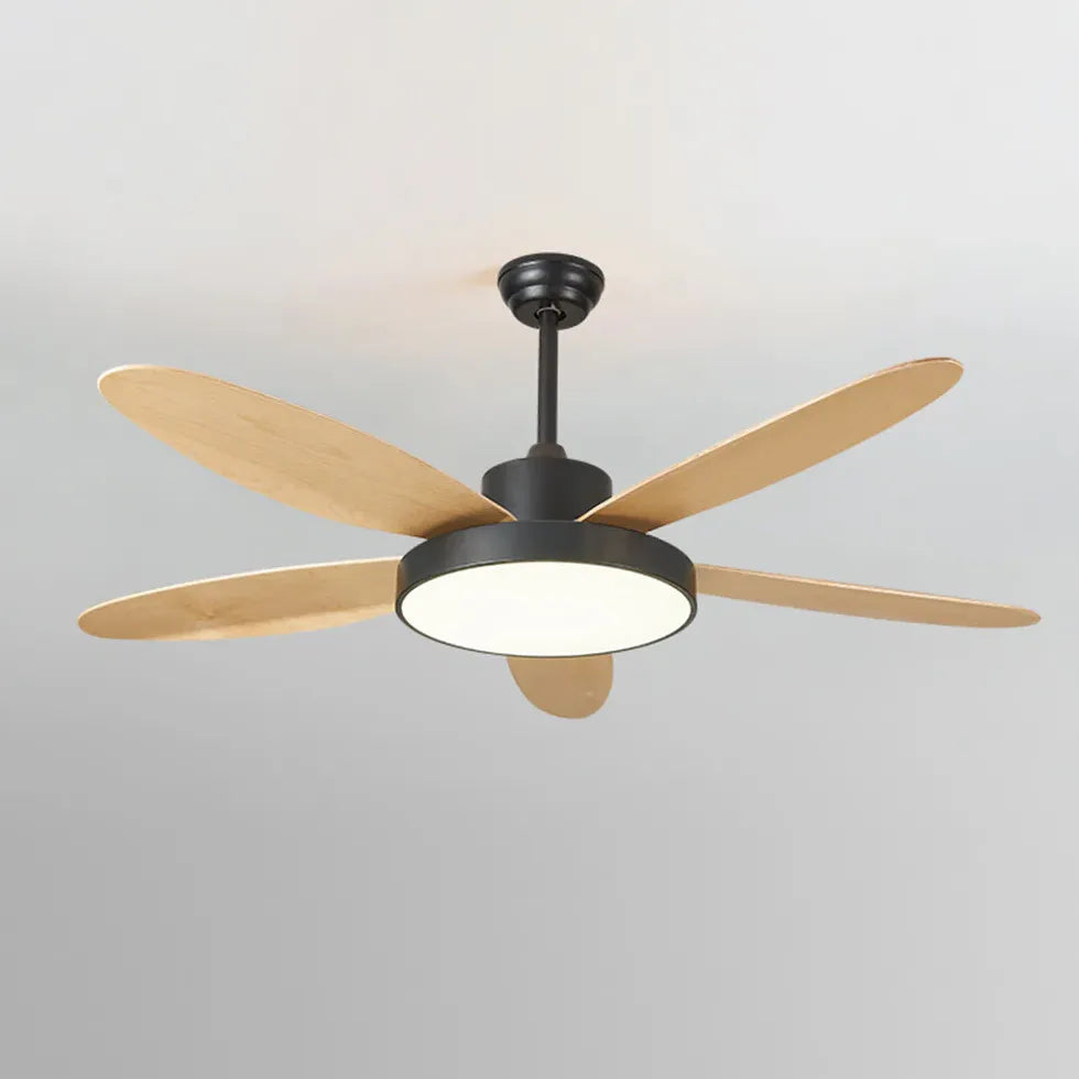 Five-Blade Modern Study Room Fan Light