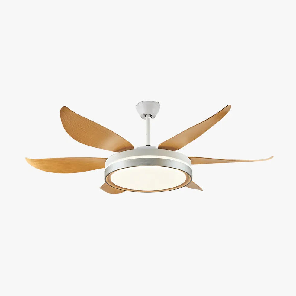 Wood Grain Modern Living Room Fan Light