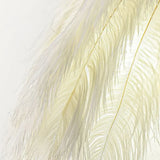 Lámpara de Pared LED con Diseño de Plumas para Dormitorio