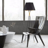 Black Tripod Modern Plug-in Floor Lamp